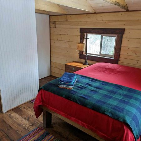 Blackburn Cabins - Mccarthy, Alaska McCarthy Exterior foto