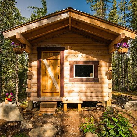 Blackburn Cabins - Mccarthy, Alaska McCarthy Exterior foto