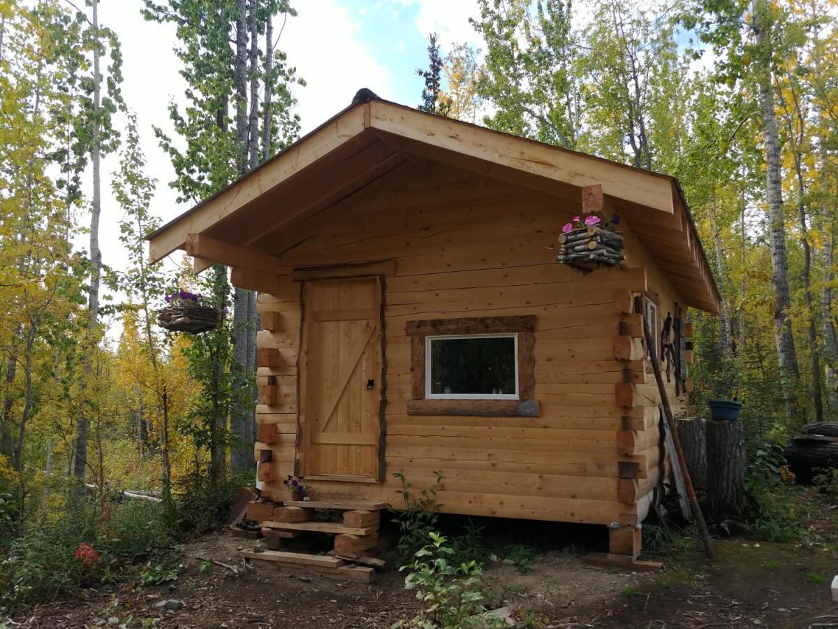 Blackburn Cabins - Mccarthy, Alaska McCarthy Exterior foto