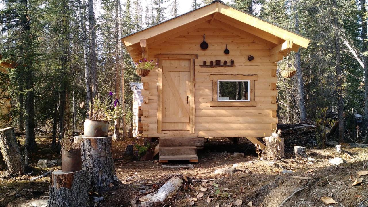 Blackburn Cabins - Mccarthy, Alaska McCarthy Exterior foto