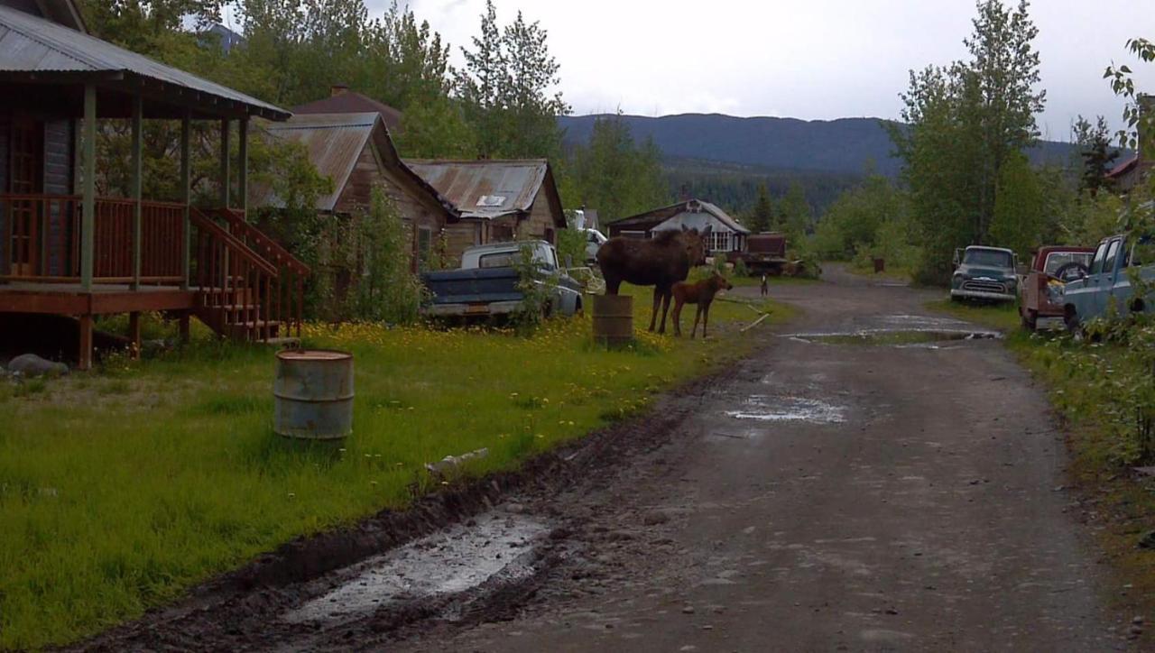 Blackburn Cabins - Mccarthy, Alaska McCarthy Exterior foto