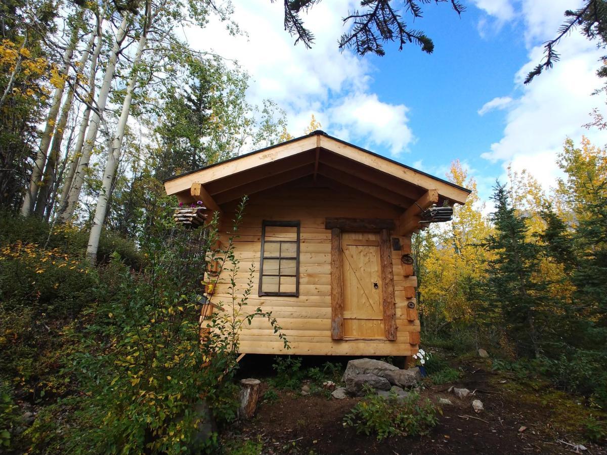 Blackburn Cabins - Mccarthy, Alaska McCarthy Exterior foto