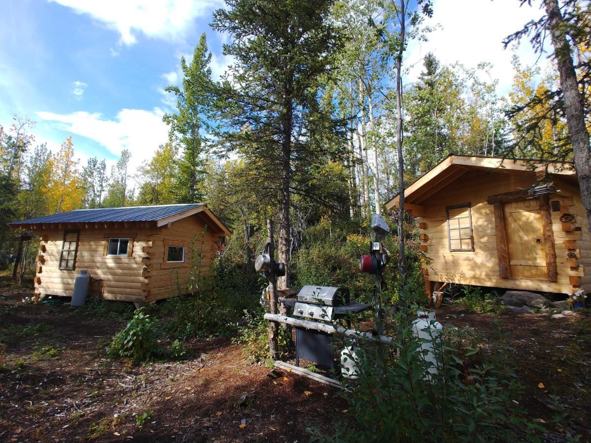 Blackburn Cabins - Mccarthy, Alaska McCarthy Exterior foto
