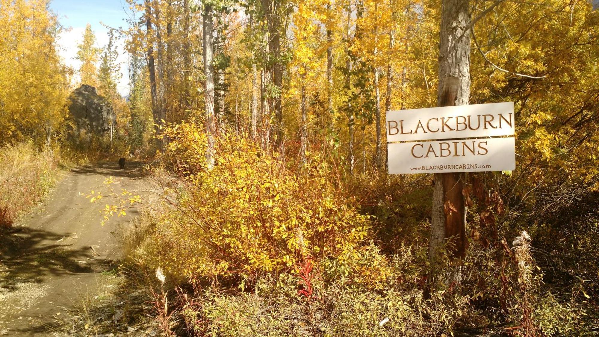 Blackburn Cabins - Mccarthy, Alaska McCarthy Exterior foto