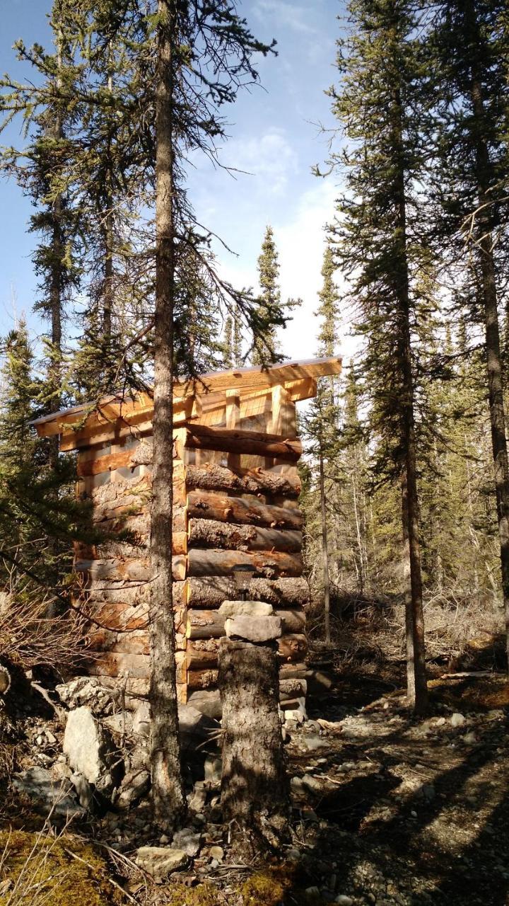 Blackburn Cabins - Mccarthy, Alaska McCarthy Exterior foto