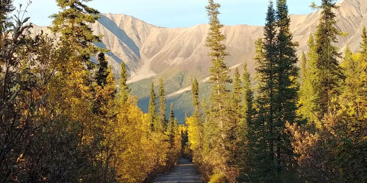 Blackburn Cabins - Mccarthy, Alaska McCarthy Exterior foto