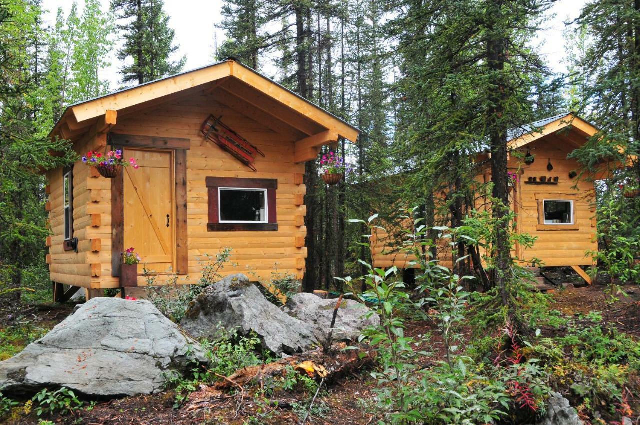Blackburn Cabins - Mccarthy, Alaska McCarthy Exterior foto