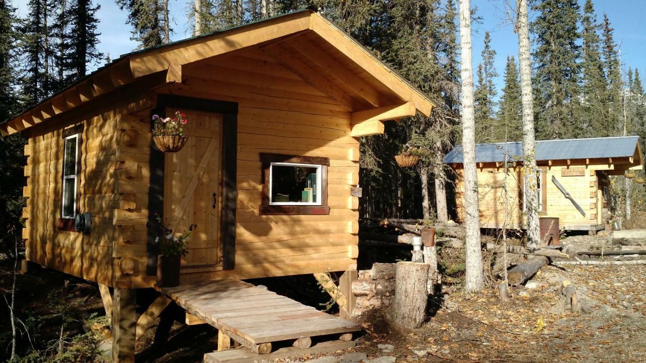 Blackburn Cabins - Mccarthy, Alaska McCarthy Exterior foto