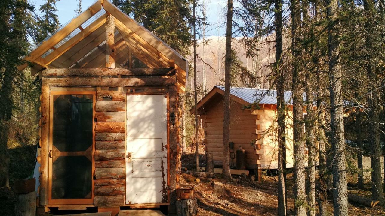 Blackburn Cabins - Mccarthy, Alaska McCarthy Exterior foto